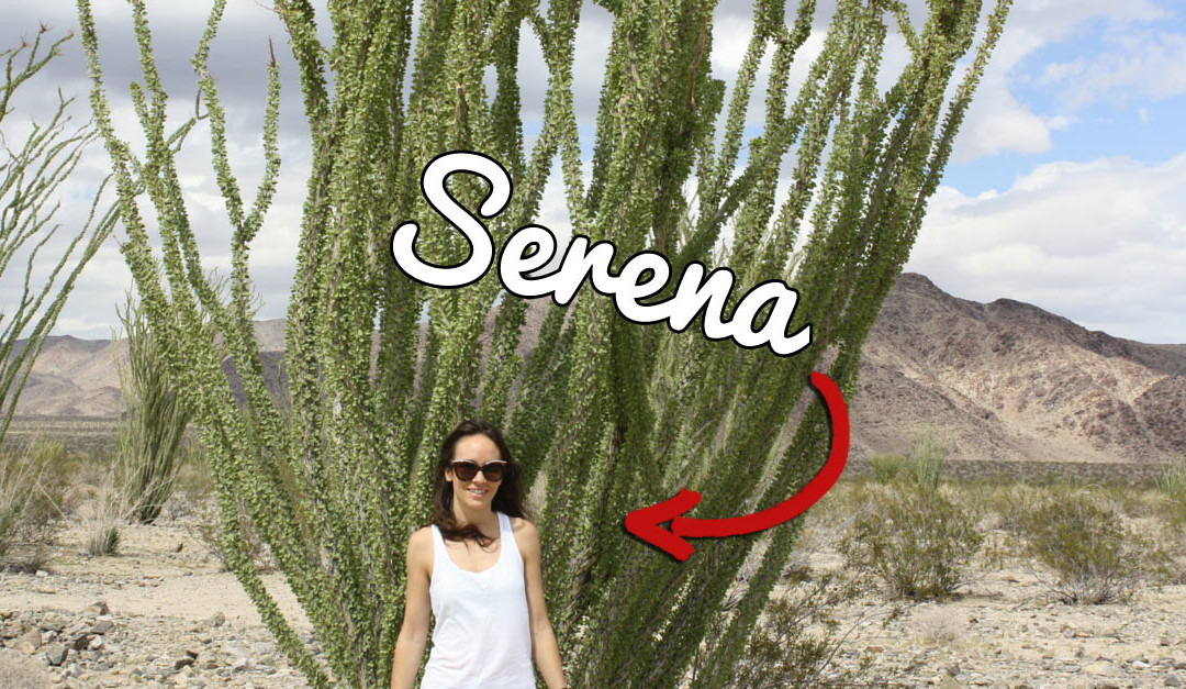 Meet Our New Director of Organization (And Other Stuff): Serena